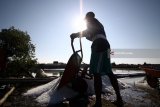 Petani membawa garam menggunakan gerobak dorong saat panen di Desa Tambak Cemandi, Sedati, Sidoarjo, Jawa Timur, Kamis (19/7). Pemerintah menargetkan produksi garam konsumsi nasional sebanyak 1,5 juta ton, naik 7,14 persen dari realisasi tahun 2017 yang sebesar 1,4 juta ton.  Antara jatim/Umarul Faruq/18