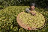 Petani mengeringkan biji cengkih di Rancamaya, Bogor Selatan, Jawa Barat, Kamis (12/7). Asosiasi Petani Cengkih Indonesia (APCI) memperkirakan tahun ini produksi cengkih akan kembali normal atau mencapai 110.000 - 120.000 ton dibandingkan tahun lalu yang hanya mencapai 15.000 ton. ANTARA JABAR/Raisan Al Farisi/agr/18.