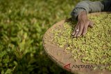 Petani mengeringkan biji cengkih di Rancamaya, Bogor Selatan, Jawa Barat, Kamis (12/7). Asosiasi Petani Cengkih Indonesia (APCI) memperkirakan tahun ini produksi cengkih akan kembali normal atau mencapai 110.000 - 120.000 ton dibandingkan tahun lalu yang hanya mencapai 15.000 ton. ANTARA JABAR/Raisan Al Farisi/agr/18.