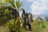 Komandan Pusat Teritorial Mabes TNI Angkatan Darat (Danpusterad Mabesad) Mayjen TNI Hartomo (kiri) menuruni bukit saat meninjau kegiatan TNI Manunggal Membangun Desa (TMMD) di Desa Bodag, Kecamatan Kare, Kabupaten Madiun, Jawa Timur, Kamis (19/7). Mayjen TNI Hartomo meninjau sejumlah kegiatan TMMD, antara lain pembangunan Rumah Tidak Layak Huni (RTLH), pembuatan jalan rabat beton menuju objek wisata Selo Gedong di lereng Gunung Wilis, pengobatan gratis dan wawasan kebangsaan. Antara Jatim/Siswowidodo/mas/18.