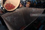 Pekerja memasukkan buah kopi yang dijadikan 