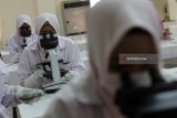Mahasiswi D3 jurusan Analis Kesehatan Universitas Muhammadiyah Surabaya (UMS) mengamati jamur melalui mikroskop saat mengikuti ujian praktik Mikologi di laboratorium biomedik di Surabaya, Jawa Timur, Selasa (10/7). Ujian akhir semester tersebut untuk mempelajari berbagai macam tentang jamur yang menyebabkan penyakit pada manusia. Antara Jatim/Moch Asim/18.