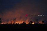 Jalur pendakian gunung lawu ditutup karena kebakaran lahan