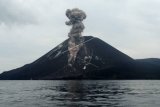 Aktivitas vulkanis gunung Anak Krakatau tinggi, status masih waspada