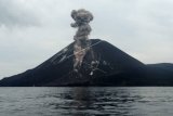 407 kali kegempaan letusan dialami Gunung Anak Krakatau