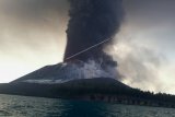 BMKG nyatakan erupsi Gunung Anak Krakatau bahayakan penerbangan