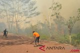 Kebakaran hutan komplek Rindam Kodam Iskandar Muda