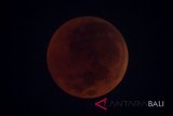 Gerhana bulan total atau 'Blood Moon' terlihat dari kawasan Pasar Baru, Jakarta, Sabtu (28/7/2018) dini hari. Gerhana Bulan tersebut merupakan yang terlama pada abad ini dengan durasi sepanjang 103 menit dan seluruh proses gerhana sekitar 6,5 jam. ANTARA FOTO/Aprillio Akbar/wdy/2018