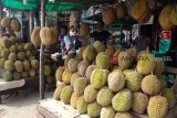 Dosen di Riau olah biji durian jadi tepung tinggi protein