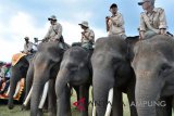 Gajah TNWK meriahkan kirab obor Asian Games