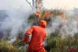 Kebakaran Lahan Di Pulau Semambu