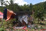 Pengungsi Gempa Lombok