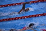 Renang Penyisihan 800 M Gaya Bebas Putra