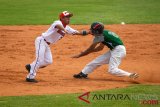 Baseball - Pakistan vs Indonesia