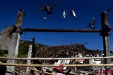 Dampak Gempa Bumi Lombok