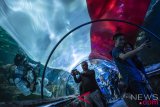 Upacara Bendera Di Seaworld Ancol