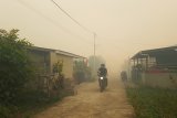 Seorang pengendara motor melintasi perumahan Residence Borneo Khatulistiwa yang diselimuti kabut asap di Sungai Raya, Kabupaten Kubu Raya, Kalbar, Sabtu (18/8). Kebakaran hutan yang terjadi di belakang komplek perumahan dan menimbulkan kabut asap sangat pekat tersebut, membuat warga setempat khawatir jika api merambat ke pemukiman. ANTARA FOTO/Jessica Helena Wuysang/18
