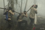 Sejumlah anggota kepolisian melakukan pembasahan lahan gambut yang masih terbakar di lapisan bawah, di kawasan Universitas Tanjungpura (Untan) Pontianak, Kalbar, Kamis (23/8). Karhutla gambut yang terjadi di belakang Fakultas Kedokteran Untan tersebut, hingga kini belum diketahui penyebabnya dan hal itu membuat para mahasiswa khawatir jika api merambat ke gedung perkuliahan. ANTARA FOTO/HS Putra/jhw/18