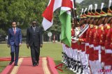 Presiden Joko Widodo (kanan) berbincang dengan Presiden Namibia Hage Gottfried Geingob (kiri) saat kunjungan kenegaraan di Istana Kepresidenan Bogor, Jawa Barat, Kamis (30/8/2018). Kunjungan kenegaraan itu diisi dengan pertemuan bilateral dan penandatanganan kerja sama serta penanaman pohon di halaman belakang istana. (ANTARA FOTO/Hafidz Mubarak A) 