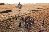 Warga mengikuti lomba panjat pinang di kampung nelayan Pabean udik, Indramayu, Jawa Barat, Jumat (17/8). Berbagai lomba digelar warga untuk merayakan HUT ke 73 Republik Indonesia. ANTARA JABAR/Dedhez Anggara/agr/18.