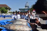 Para santri Pondok Modern Darussalam Gontor berfoto di dekat ikan tuna bantuan Menteri Kelautan dan Perikanan Susi Pudjiastuti saat melakukan kunjungan ke Pondok Gontor, Ponorogo, Jawa Timur, Selasa (31/7). Kunjungan Menteri Susi Pudjiastuti ke pondok tersebut untuk bersilaturahmi dan memberikan bantuan ikan tuna sebanyak lima ton. Antara Jatim/Foto/Siswowidodo/18