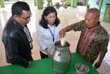 Pimpinan PT Permodalan Nasional Madani (PNM) Cabang Surabaya, Ramon Agustus (kiri) Kepala Departemen Program Kemitraan dan Bina Lingkungan PT SIER, Sri Priharti (tengah) berbincang dengan peternak sapi perah  saat pelatihan 'capacity building' di Tropodo, Krian, Sidoarjo, Jawa Timur, Rabu (29/8). Pelatihan tentang Manajemen Produksi dan Pemeliharaan sapi perah, pakan, pencernakan dan produki alternatif, penyakit sapi karena pakan dan kewirausahaan tersebut bertujuan untuk meningkatkan kualitas produksi sehingga pendapatan serta kesejahteraan para peternak semakin baik. Antara Jatim/Umarul Faruq/mas/18.