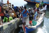 Sejumlah penumpang turun dari perahu layar motor ke perahu penghubung di Pelabuhan Kalbut, Mangaran, Situbondo, Jawa Timur, Kamis (16/8). Puluhan penumpang dari Pulau Poday, Madura terpaksa menaiki perahu layar motor dengan hewan ternak karena belum adanya kapal atau perahu penumpang. Antara Jatim/Seno/mas/18.