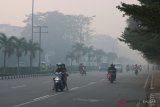 Sejumlah pengendara melintasi jalan yang diselimuti kabut asap di Pontianak, Kalbar, Senin (20/8). BNPB menyatakan bahwa hingga kini masih terpantau 526 titik api di Kalbar yang berasal dari karhutla di sejumlah kabupaten di Kalbar, yang mengakibatkan kabut asap tebal menyelimuti Kota Pontianak. ANTARA FOTO/Jessica Helena Wuysang/18