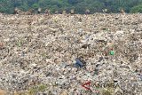 Pekerja mengangkut sampah di Tempat Pembuangan Akhir (TPA) Galuga, Kabupaten Bogor, Jawa Barat, Senin (27/8). Potensi pemanfaatan gas metan dari 3,1 juta ton sampah di TPA Galuga diperkirakan dapat menghasilkan energi listrik sebesar 2,5 MW namun belum dapat dioptimalkan oleh pemerintah daerah setempat. ANTARA JABAR/Arif Firmansyah/agr/18