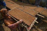 Petani mengeringkan tembakau di Desa Mandalahaji, Kabupaten Bandung, Jawa Barat, Senin (13/8). Berdasarkam data Aliansi Masyarakat Tembakau Indonesia (AMTI), Jawa Barat merupakan salah satu daerah penghasil tembakau terbesar di Indonesia dengan total produksi rata-rata 20.000 ton per tahun. ANTARA JABAR/Raisan Al Farisi/agr/18