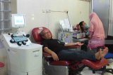 Sejumlah warga mendonorkan darahnya di Kantor Unit Donor Darah (UDD) Palang Merah Indonesia (PMI) di Jember, Jawa Timur, Jumat (10/8). UDD PMI Jember menggalang donor darah untuk disalurkan kepada korban gempa bumi yang membutuhkan kantong darah di Lombok, Nusa Tenggara Barat (NTB). Antara Jatim/Zumrotun Solichah/mas/18.