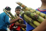 Sejumlah warga membawa sesajian hasil rebutan berupa sayur dan buah-buahan yang telah didoakan, usai Sembahyang Rebut Chio Sik Kow di Komplek Pemakaman Yayasan Bhakti Suci, Sungai Raya, Kabupaten Kubu Raya, Kalbar, Sabtu (25/8). Tradisi Sembahyang Rebut Chio Sik Kow yang dilakukan sebelum pembakaran kapal Wangkang atau kapal arwah leluhur tersebut, dipercaya dapat memperlancar rejeki dan mendatangkan keberuntungan. ANTARA FOTO/HS Putra/jhw/18