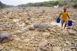 Warga membawa air dari dasar sungai Cipamingkis yang kering di Jonggol, Kabupaten Bogor, Jawa Barat, Kamis (2/8). Sebagian besar warga di wilayah tersebut memanfaatkan air dari dasar sungai Cipamingkis yang kering di musim kemarau untuk kebutuhan mencuci dan mandi. ANTARA JABAR/Arif Firmansyah/agr/18.