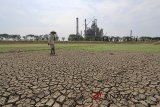 Warga berada di telaga Balong yang mengering di Balongan, Indramayu, Jawa Barat, Selasa (7/8). Sejak sebulan terakhir waduk telaga yang digunakan untuk mengairi sawah tersebut mengering akibat kemarau. ANTARA JABAR/Dedhez Anggara/agr/18.