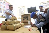 Petugas BNN memeriksa temuan ganja di Markas Lanud Atang Sendjaja, Kabupaten Bogor, Jawa Barat, Kamis (2/8). Temuan paket ganja kering seberat 14,6 kg dalam 17 paket di sekitar Lanud Atang Sendjaja selanjutnya diserahkan ke BNN Kabupaten Bogor untuk dilakukan pengembangan kasus. ANTARA JABAR/Yulius Satria Wijaya/agr/18.