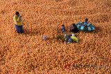 Pengunjung berfoto di arena wisata Centrum Million Balls, Bandung, Jawa Barat, Sabtu (25/8). Centrum Million Balls yang menawarkan konsep wahana foto selfie serta permainan bagi anak dan dewasa tersebut menjadi alternatif wisata liburan di akhir pekan bersama keluarga. ANTARA JABAR/Nurul Ramadhan/agr/18