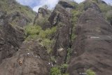 Pengunjung memanjat tebing di jalur pendakian Via Ferrata yang telah diberi sarana pengaman khusus di Gunung Sepikul, Trenggalek, Jawa Timur, Rabu (15/8). Wisata ekstrem Via Ferrata di tebing Gunung Sepikul dengan ketinggian mencapai 225 meter dari permukaan tanah (ground zero) itu merupakan yang kedua di Indonesia setelah objek wisata minat khusus sejenis di Gunung Parang, Purwakarta Jawa Tengah yang diklaim memiliki ketinggian hingga 400 meter. Antara Jatim/Destyan Sujarwoko/mas/18.