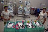 Tenaga kesehatan mendampingi bayi kembar empat di RS Puri Bunda, Denpasar, Bali, Jumat (31/8). Bayi kembar empat dari pasangan Luh Gede Irin Pradnyawati dan Putu Agra Ricna Sukarmawan tersebut lahir pada 1 Agustus 2018 secara cesar dengan berat masing-masing 1.660 gram, 1.530 gram, 1.470 gram dan 1.200 gram. ANTARA FOTO/Wira Suryantala/wdy/2018.