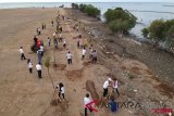 BUMN Hadir - Penghijauan Pesisir Oleh SMN