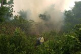 Dua warga keluar dari hutan yang sedang terbakar di belakang perumahan Residence Borneo Khatulistiwa di Sungai Raya, Kabupaten Kubu Raya, Kalbar, Sabtu (18/8). Kebakaran hutan yang terjadi di belakang komplek perumahan dan menimbulkan kabut asap sangat pekat tersebut, membuat warga setempat khawatir jika api merambat ke pemukiman. ANTARA FOTO/Jessica Helena Wuysang/18