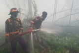 Dua pemadam kebakaran Kapuas Bhakti Pontianak menyemprotkan air ke hutan yang terbakar di belakang perumahan Residence Borneo Khatulistiwa di Sungai Raya, Kabupaten Kubu Raya, Kalbar, Sabtu (18/8). Kebakaran hutan yang menimbulkan kabut asap sangat pekat tersebut, membuat warga setempat khawatir jika api merambat ke pemukiman. ANTARA FOTO/Jessica Helena Wuysang/18
