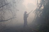 Sejumlah warga menyaksikan hutan yang terbakar di belakang perumahan Residence Borneo Khatulistiwa di Sungai Raya, Kabupaten Kubu Raya, Kalbar, Sabtu (18/8). Kebakaran hutan yang menimbulkan kabut asap sangat pekat tersebut, membuat warga setempat khawatir jika api merambat ke pemukiman. ANTARA FOTO/Jessica Helena Wuysang/18
