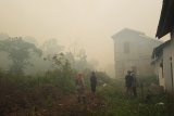 Seorang pemadam kebakaran Kapuas Bhakti Pontianak memegang selang air yang kehabisan air di hutan yang sedang terbakar di belakang perumahan Residence Borneo Khatulistiwa di Sungai Raya, Kabupaten Kubu Raya, Kalbar, Sabtu (18/8). Kebakaran hutan yang menimbulkan kabut asap sangat pekat tersebut, membuat warga setempat khawatir jika api merambat ke pemukiman. ANTARA FOTO/Jessica Helena Wuysang/18
