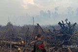 Taman Nasional Bromo terbakar, 263 titik api terpantau