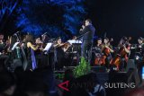 Ribuan masyarakat palu nikmati konser orkestra spanyol