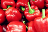 Manfaat paprika, tingkatkan penglihatan hingga cegah kanker
