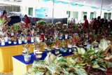 Kontes Aglaonema tandai puncak Agri Flori Expo