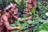 Menjaga hutan menjaga budaya masyarakat adat Mentawai