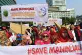 Aksi Save Maninjau