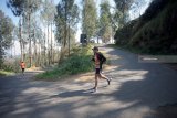 Peserta mengikuti Bromo International Marathon 2018 di kawasan Taman Nasional Bromo Tengger Semeru (TNBTS), Pasuruan, Jawa Timur, Minggu (23/9). Lari marathon sejauh 42 kilometer yang diikuti ratusan peserta dari Eropa, Asia, dan beberapa kota di Indonesia tersebut bertujuan mempromosikan kawasan wisata Taman Nasional Bromo guna meningkatkan jumlah kunjungan wisatawan baik lokal maupun mancanegara. Antara Jatim/Irfan Anshori/mas/18